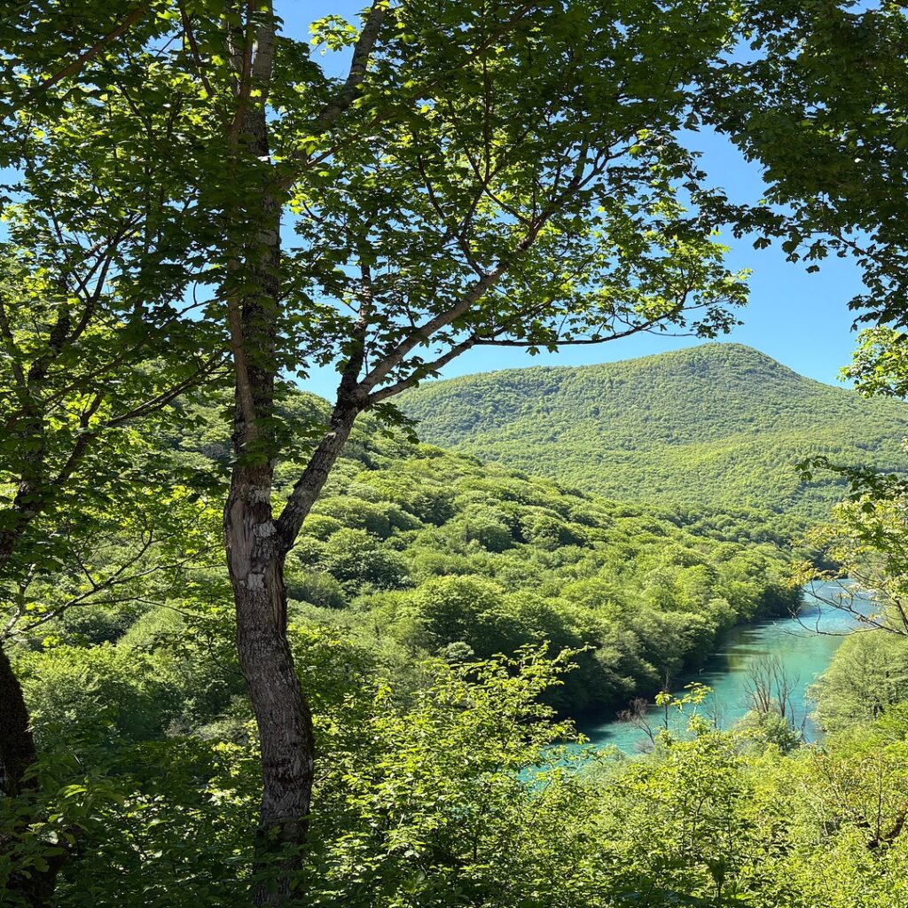 O nama Adrenaline Camp Tara – pogled iz kampa na reku Taru