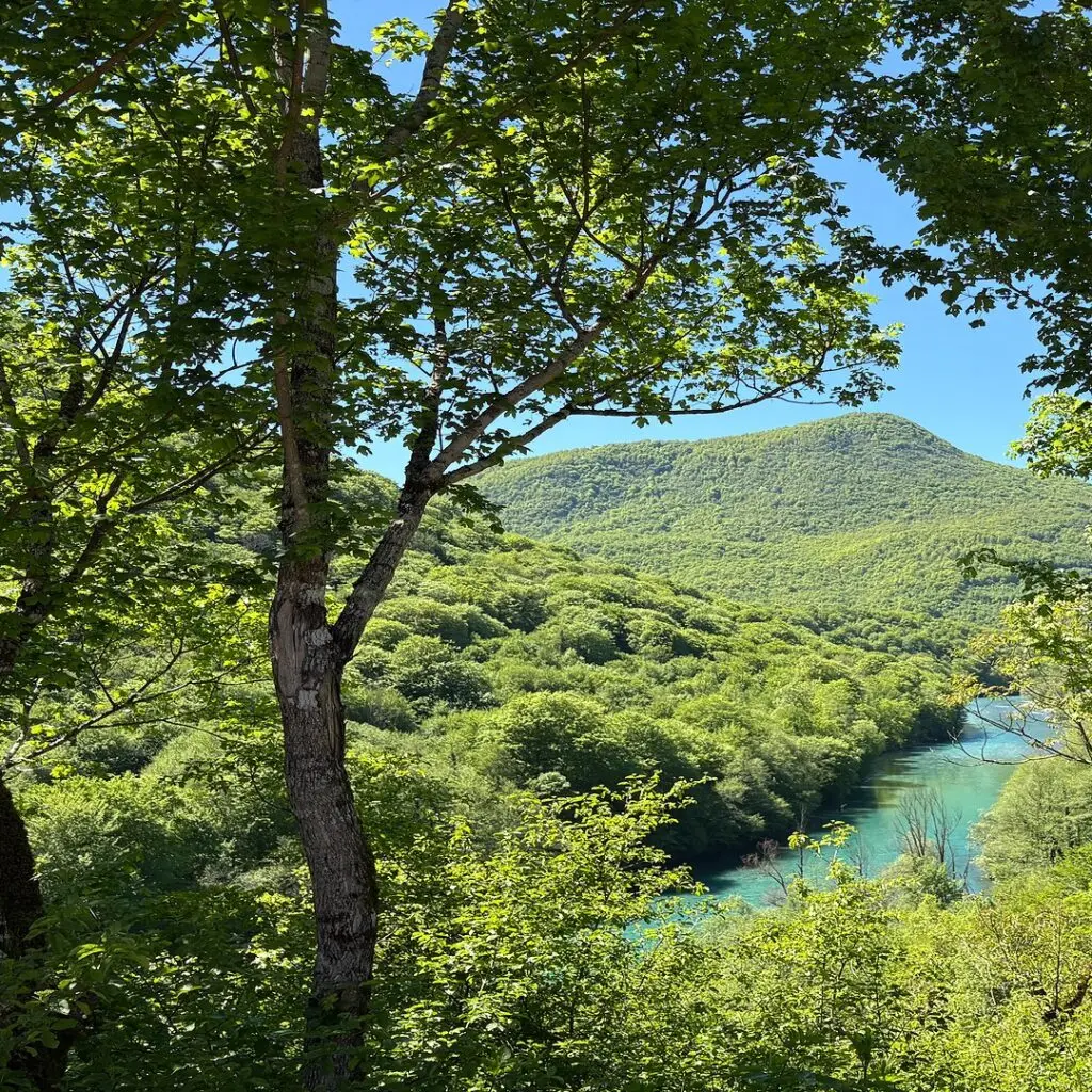 O nama Adrenaline Camp Tara – pogled iz kampa na reku Taru